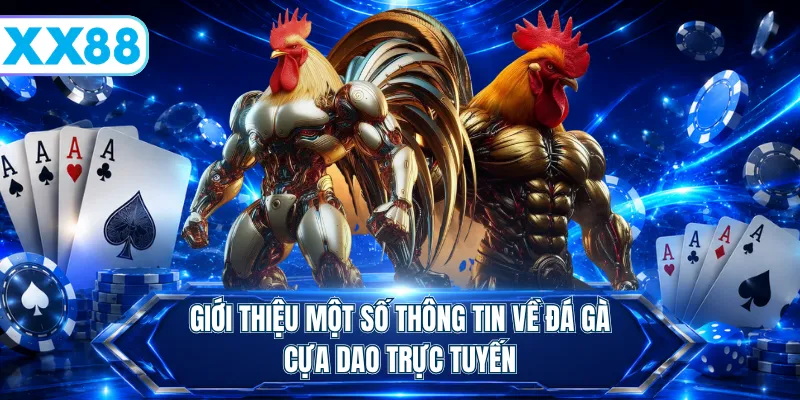 Đá Gà Cựa Dao - Màn Tranh Tài Đầy Mãn Nhãn Và Kịch Tính - playstellar