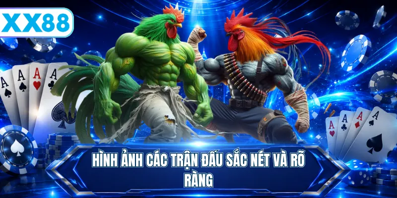 Đá Gà Online - Đa Dạng Hình Thức Và Trả Thưởng Hấp Dẫn - playstellar